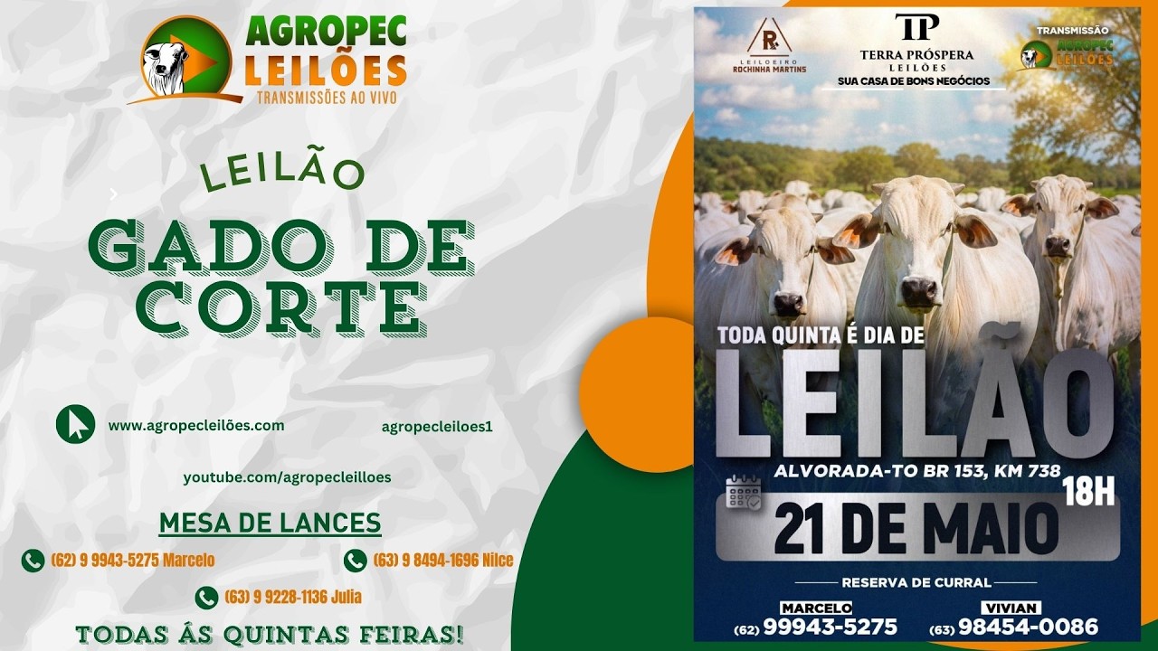 Leilão de gado de corte em Alvorada