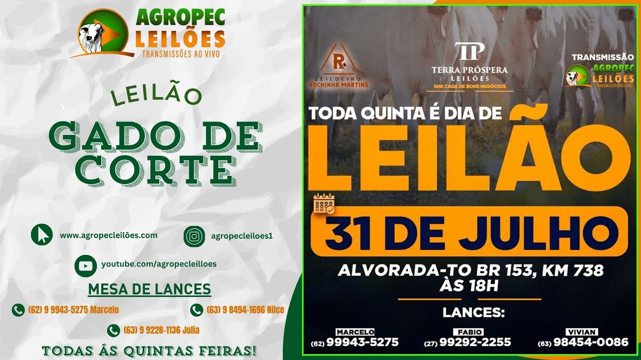 Leilão de gado de corte em Alvorada